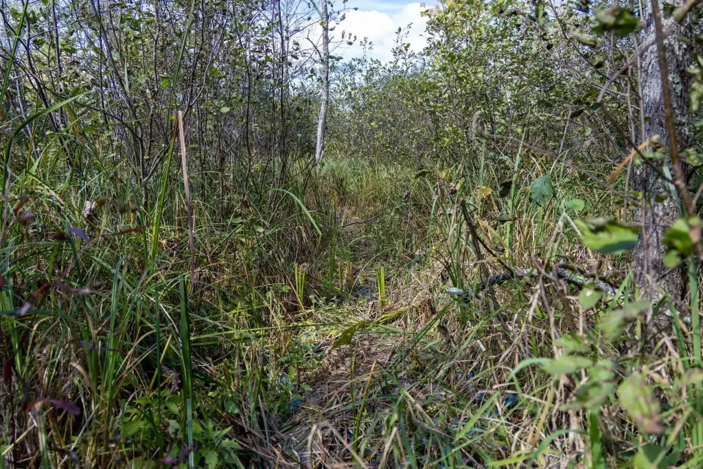 Picture 41
