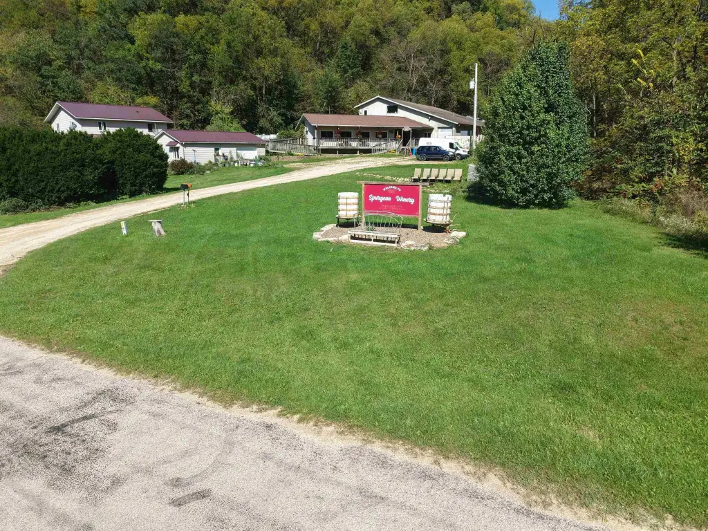 Picture 2