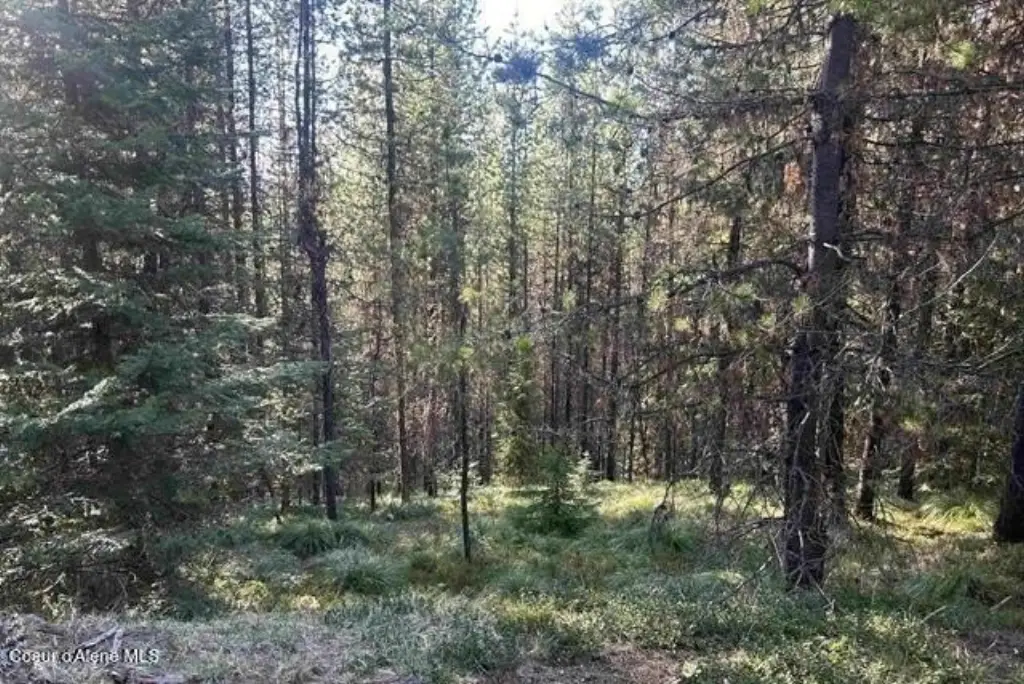 Picture 9