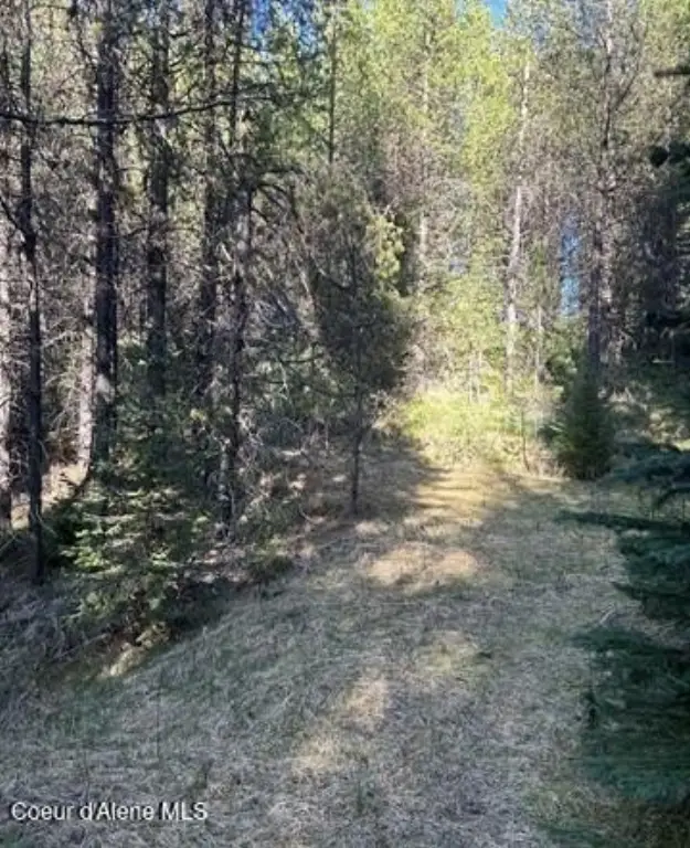 Picture 3