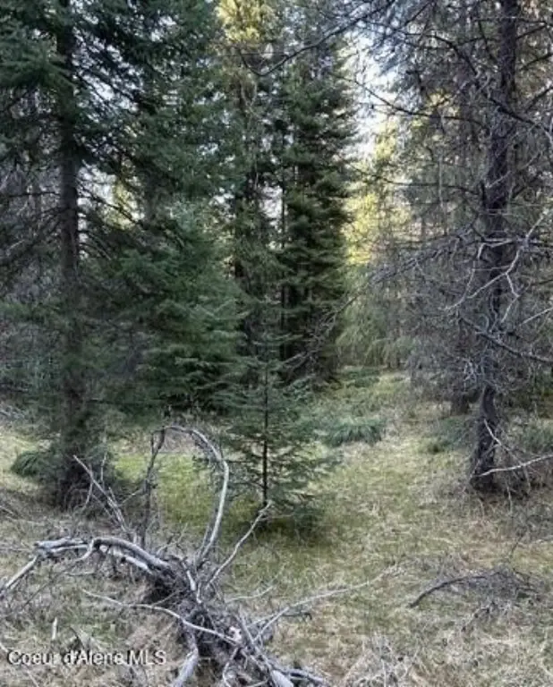 Picture 11