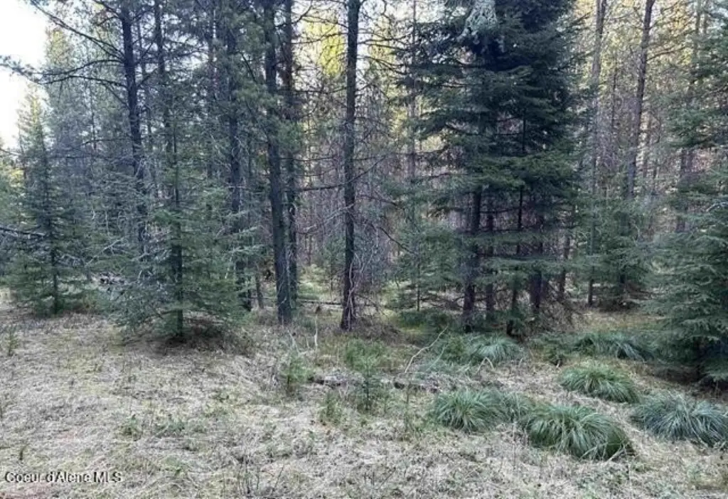 Picture 10