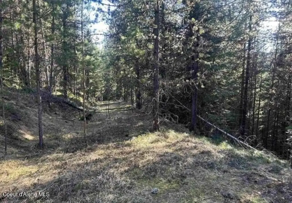 Picture 5