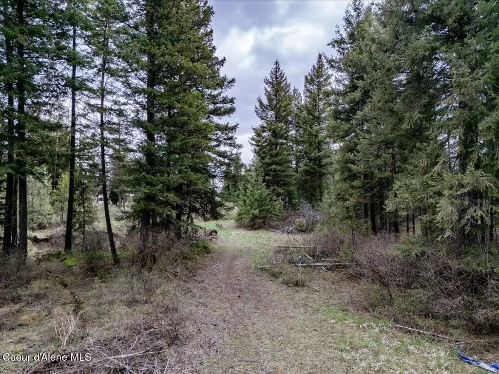 Picture 19