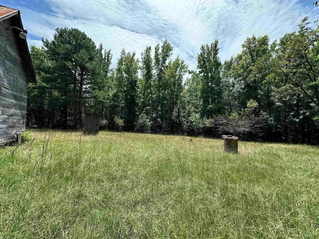 Picture 9