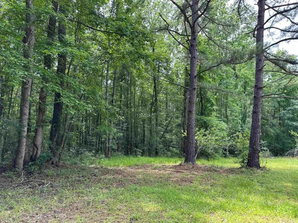 Picture 19