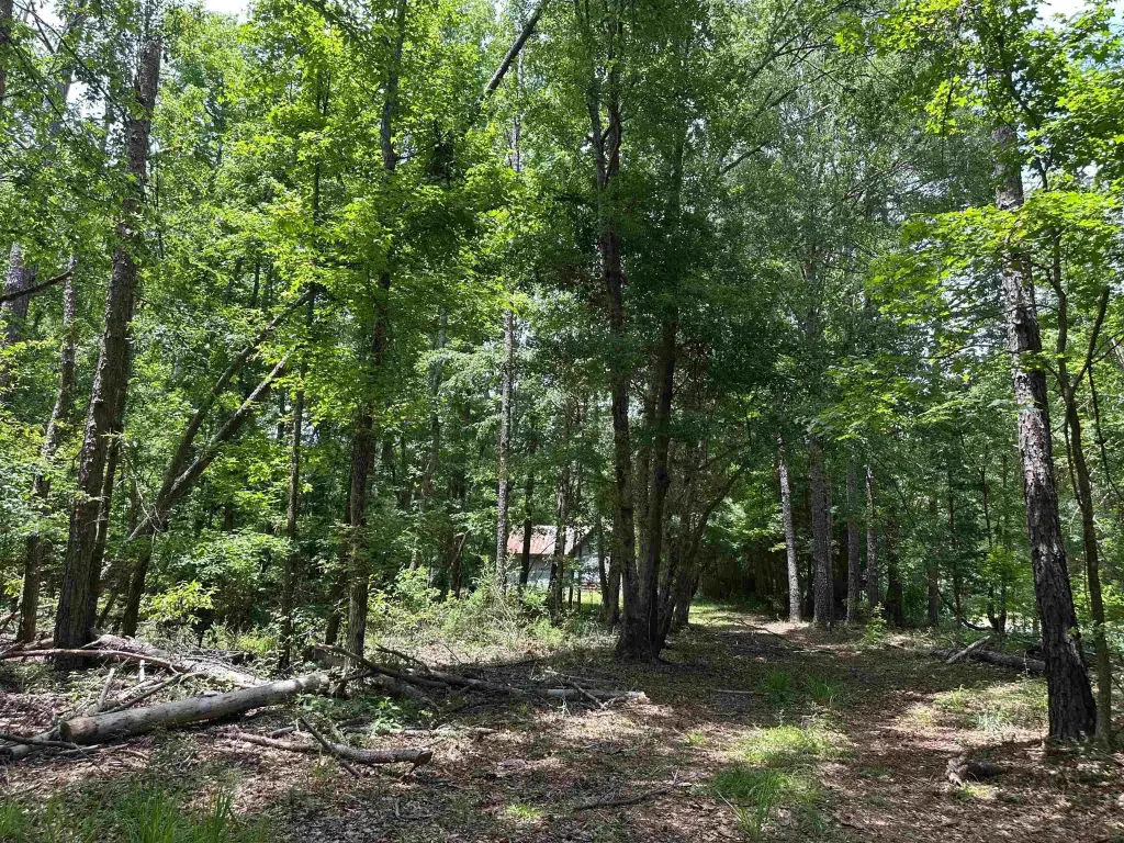 Picture 17
