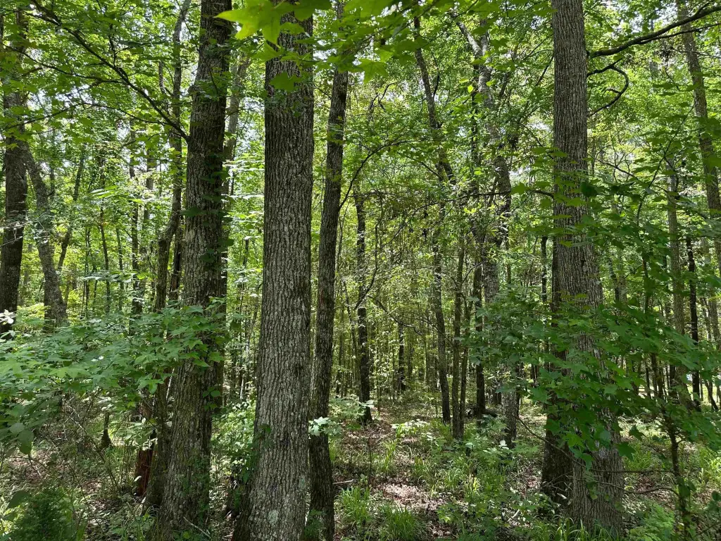 Picture 25