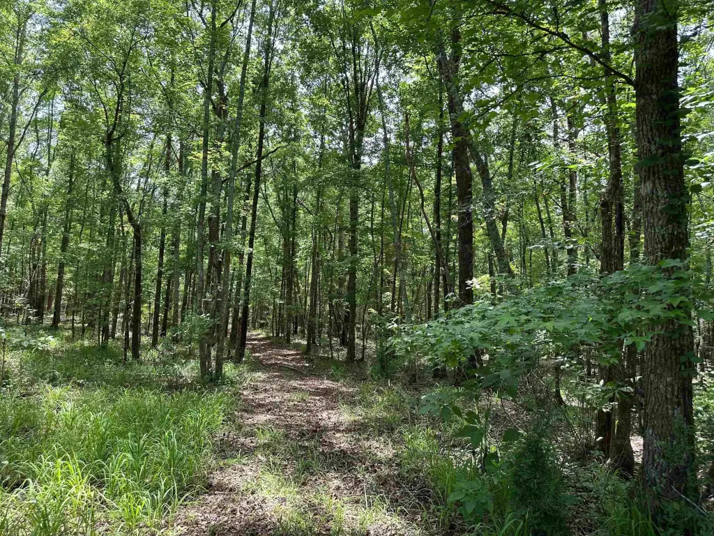 Picture 24