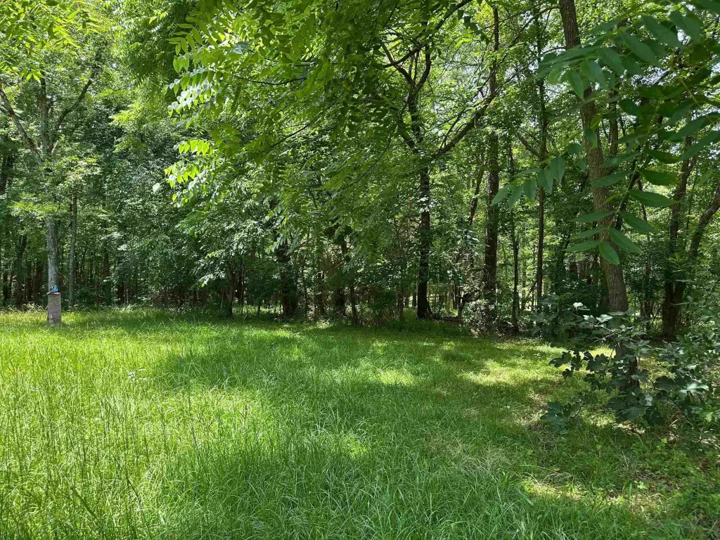 Picture 20