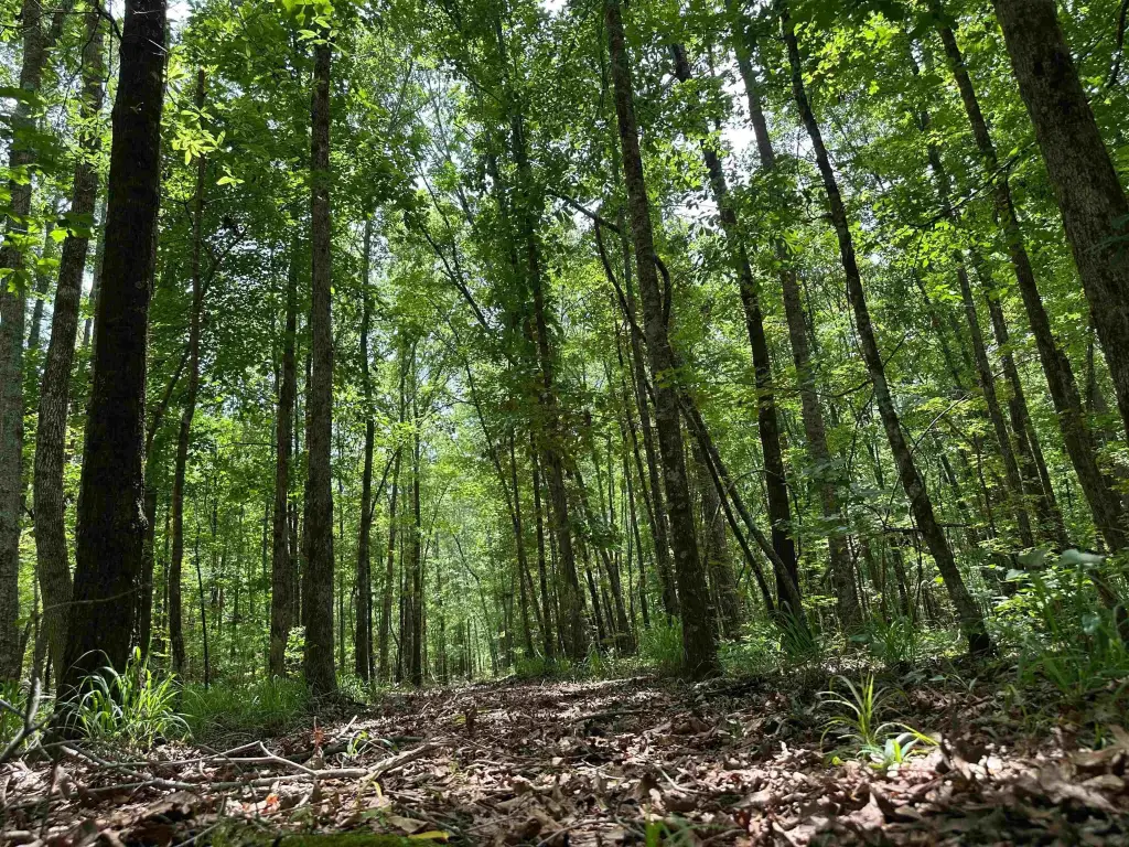 Picture 28