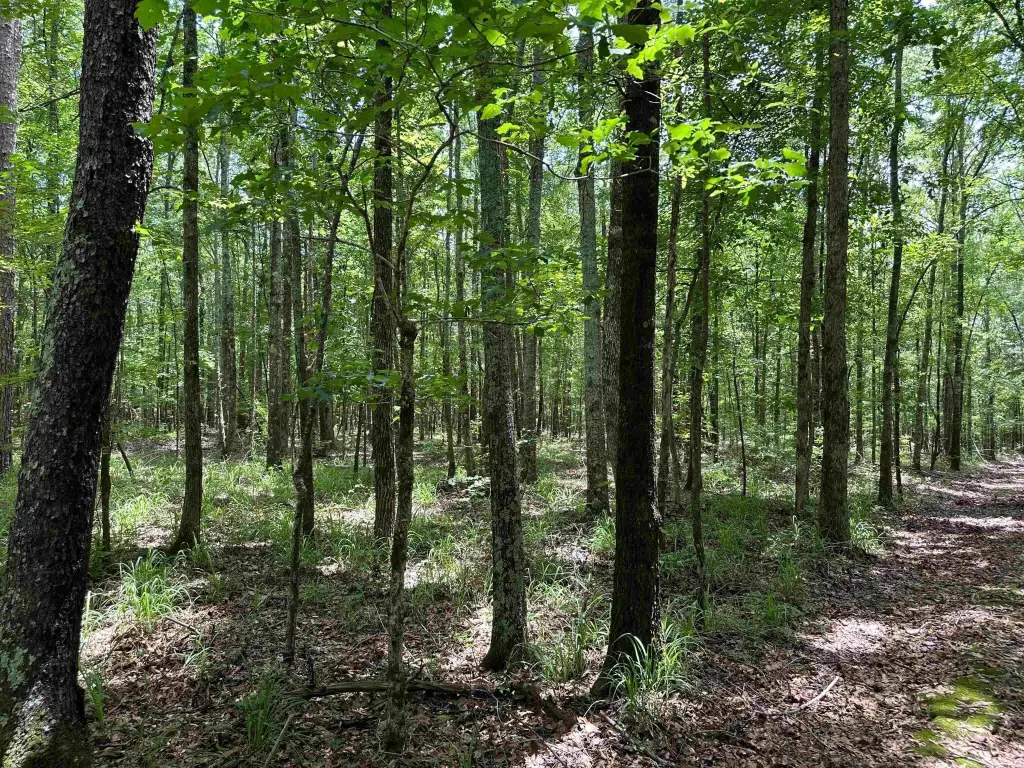 Picture 21