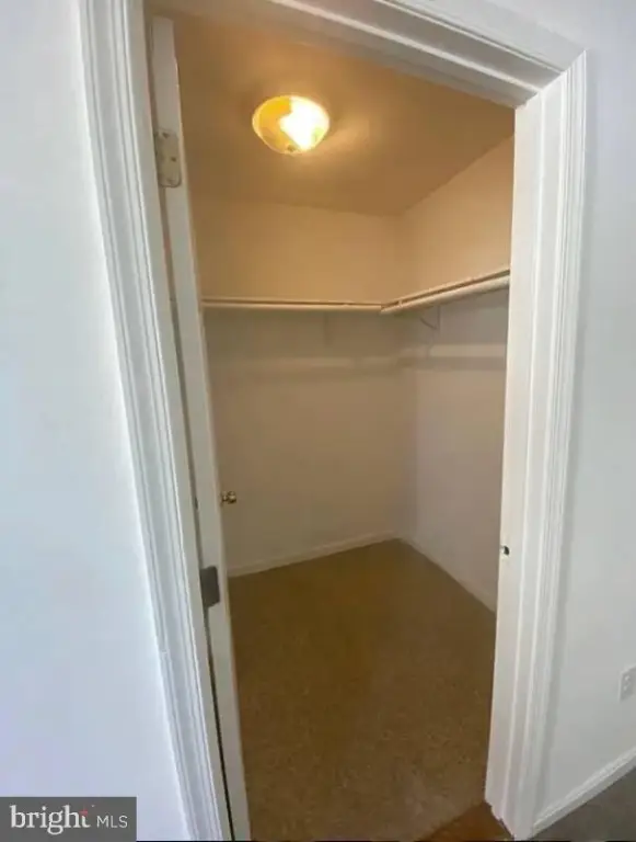Picture 27