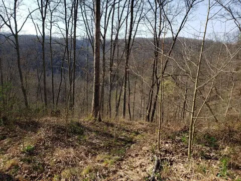 45 Acres Hunting Land