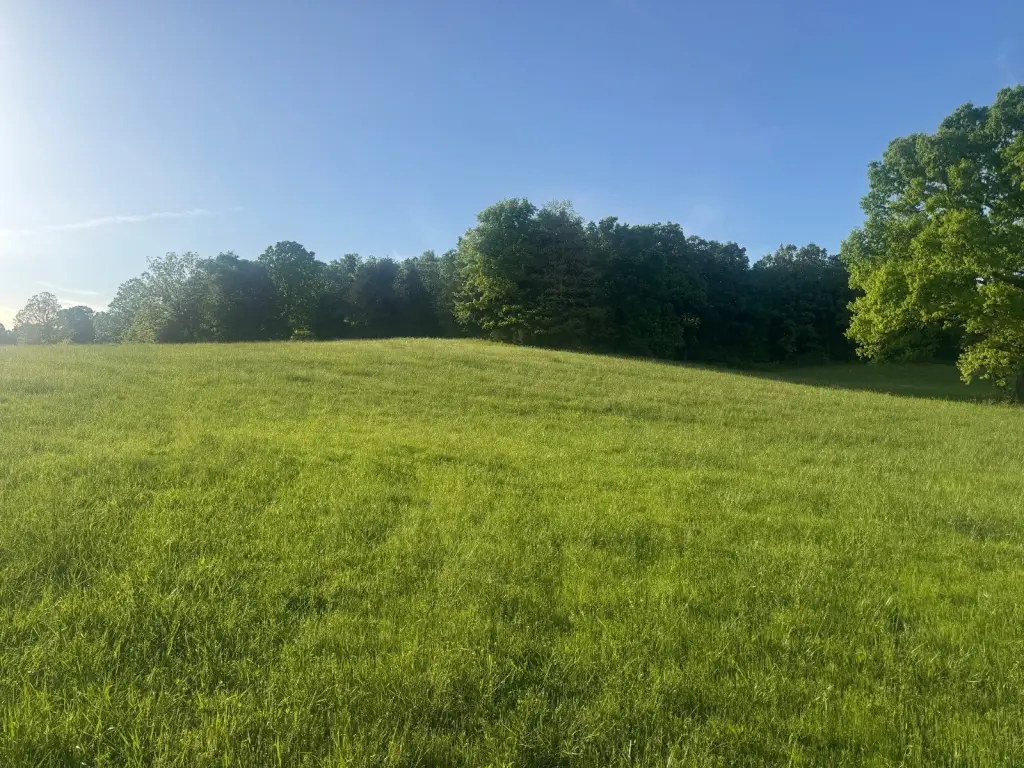 Picture 2