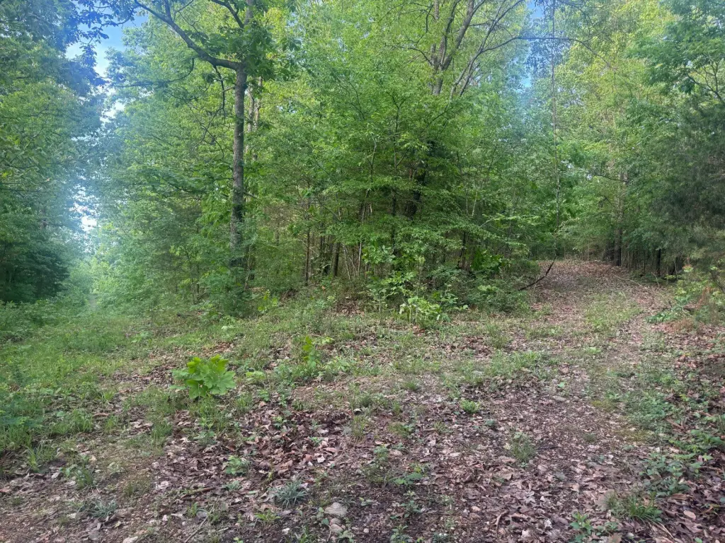 Picture 18