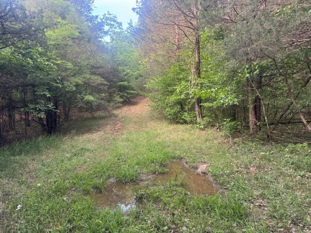 Picture 22