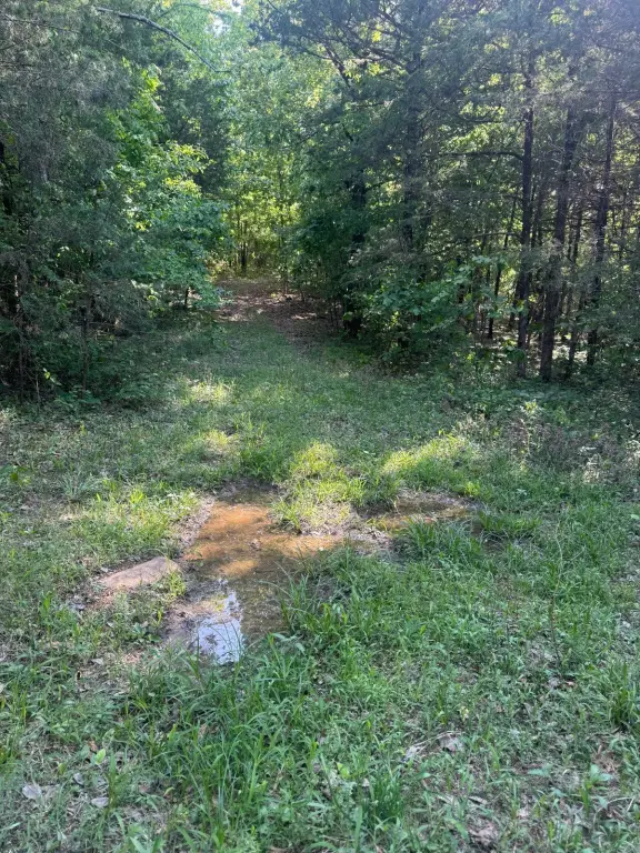 Picture 42