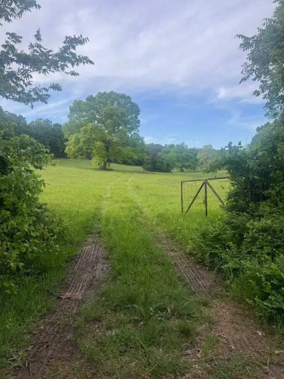 Picture 23