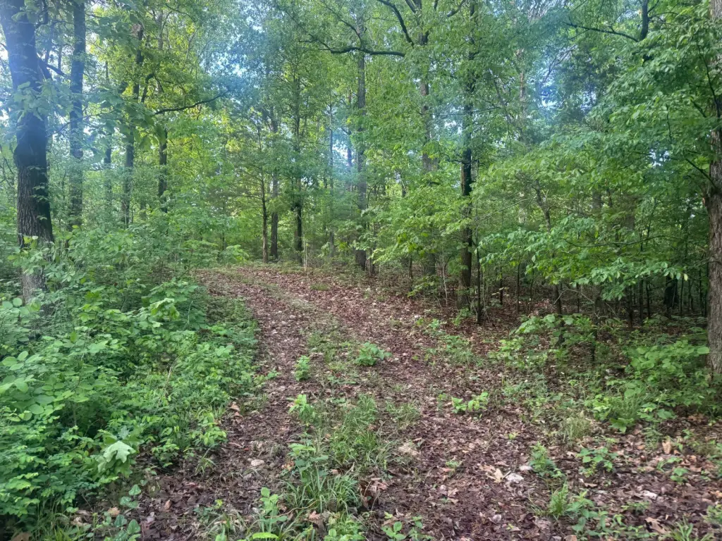 Picture 15