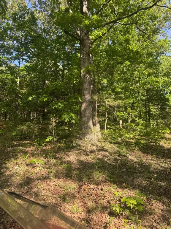 Picture 36