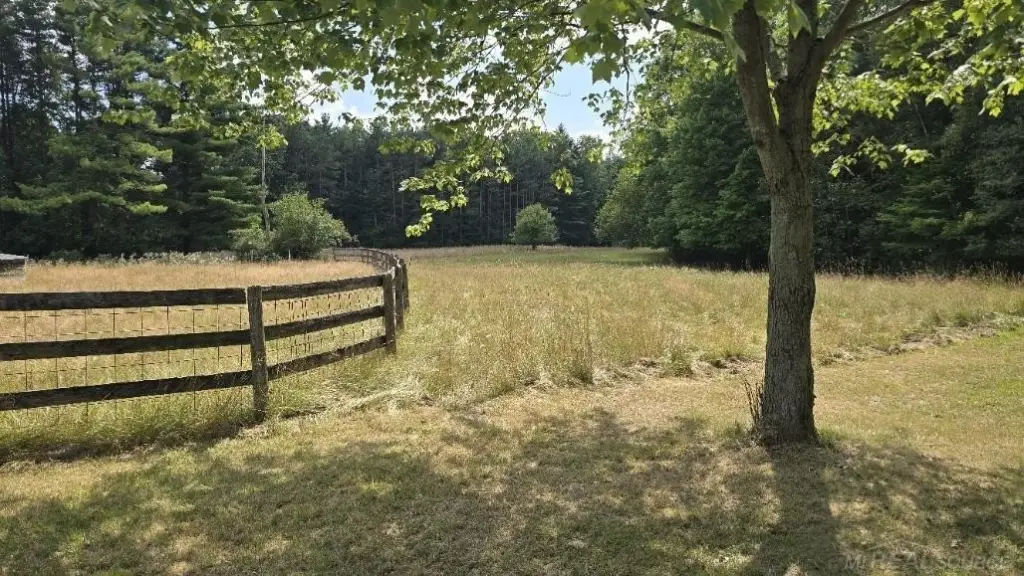 Picture 81
