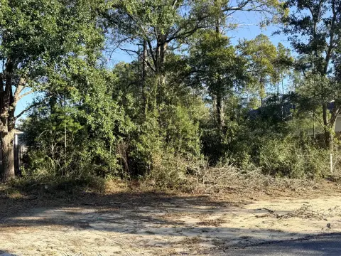 Wooded Lot in Freeport, Florida