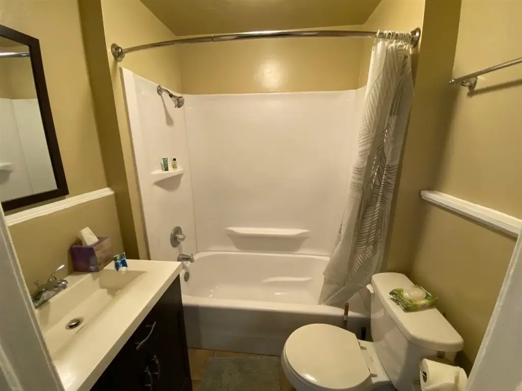 Picture 4