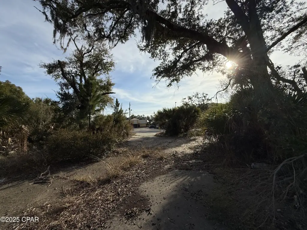 Picture 6