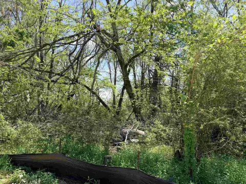 Commercial Land in Savannah, TN