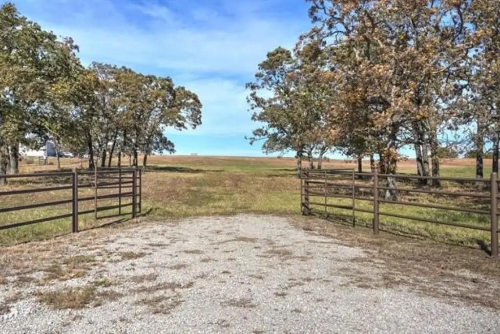 Picture 16