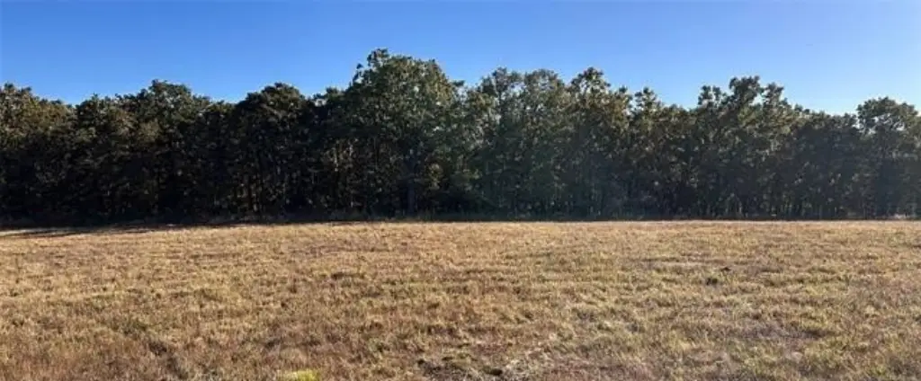 Picture 18