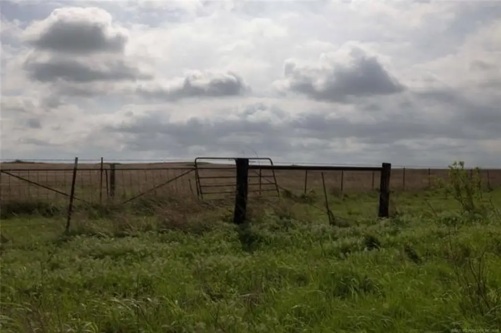 Picture 25