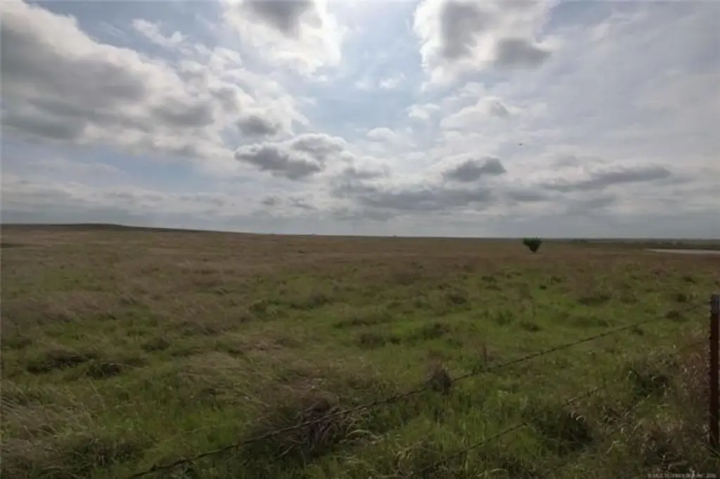 Picture 21