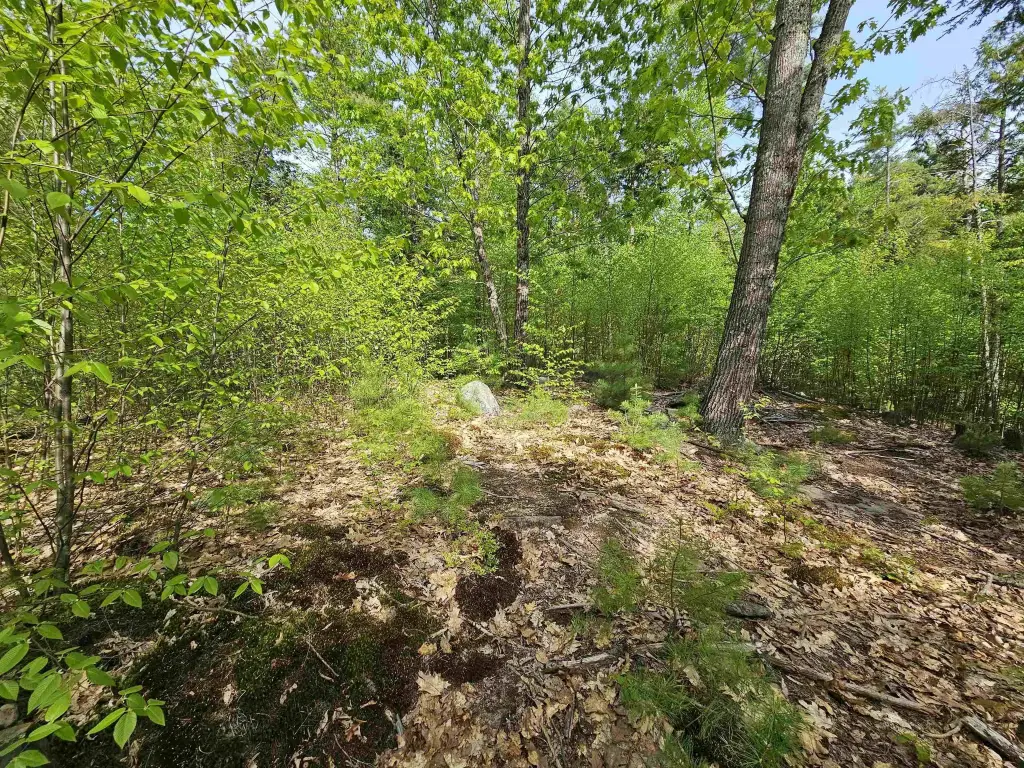 Picture 26
