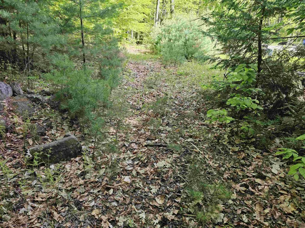 Picture 31