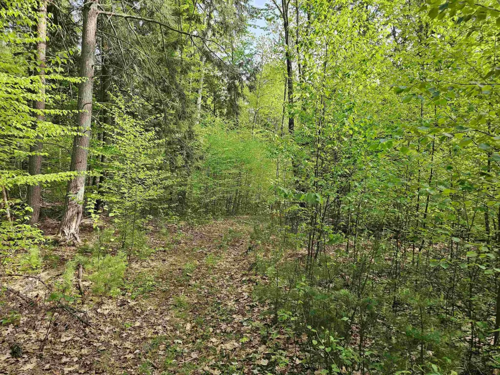 Picture 36