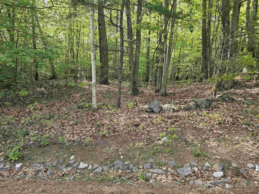 Picture 38