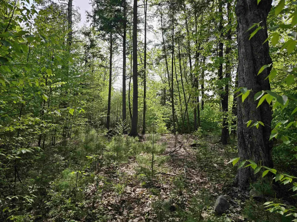 Picture 29
