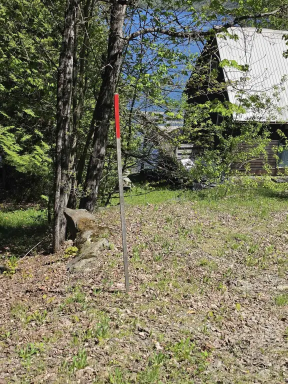 Picture 9