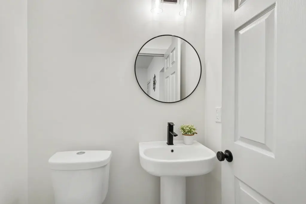 Picture 15