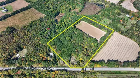 Recreation Land Along Spring Arbor Road