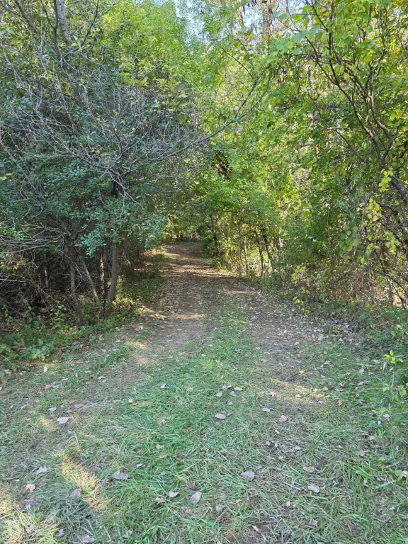 Picture 7