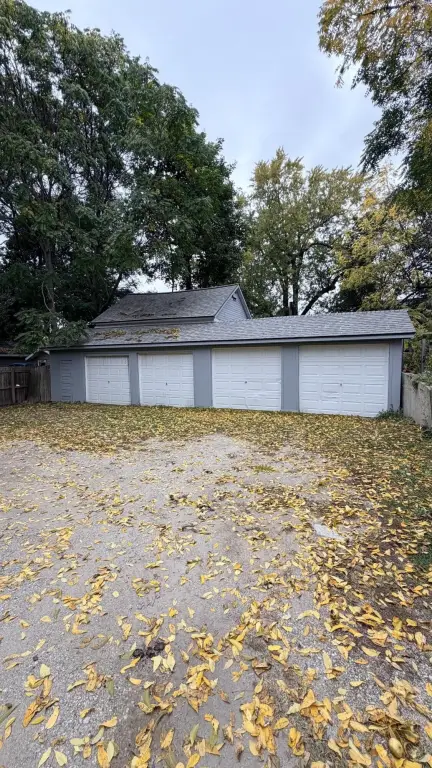 Picture 6