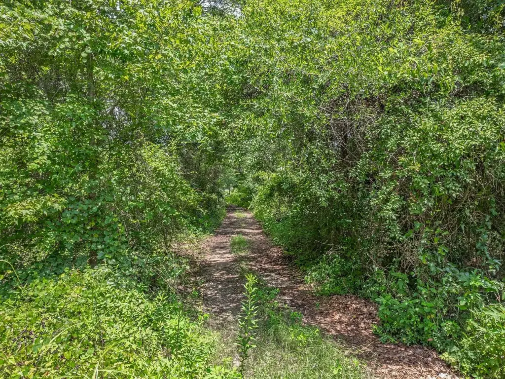 Picture 25