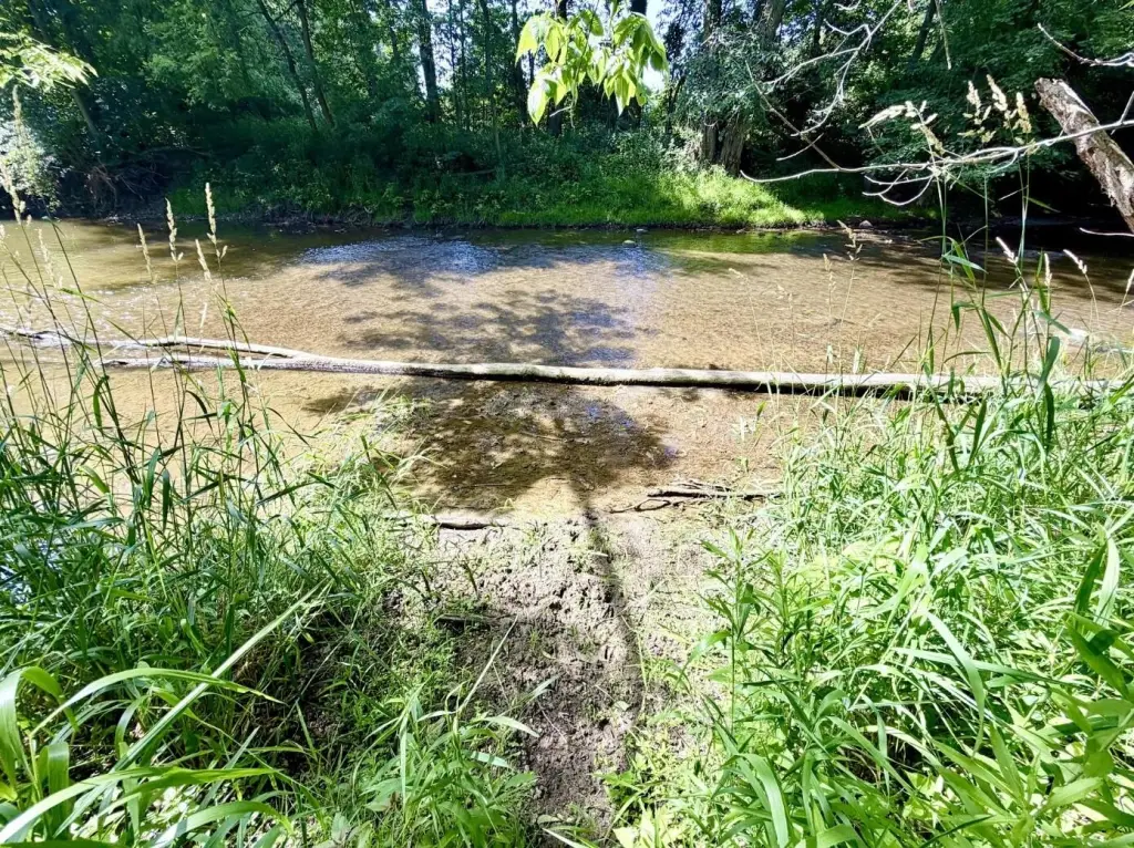 Picture 9