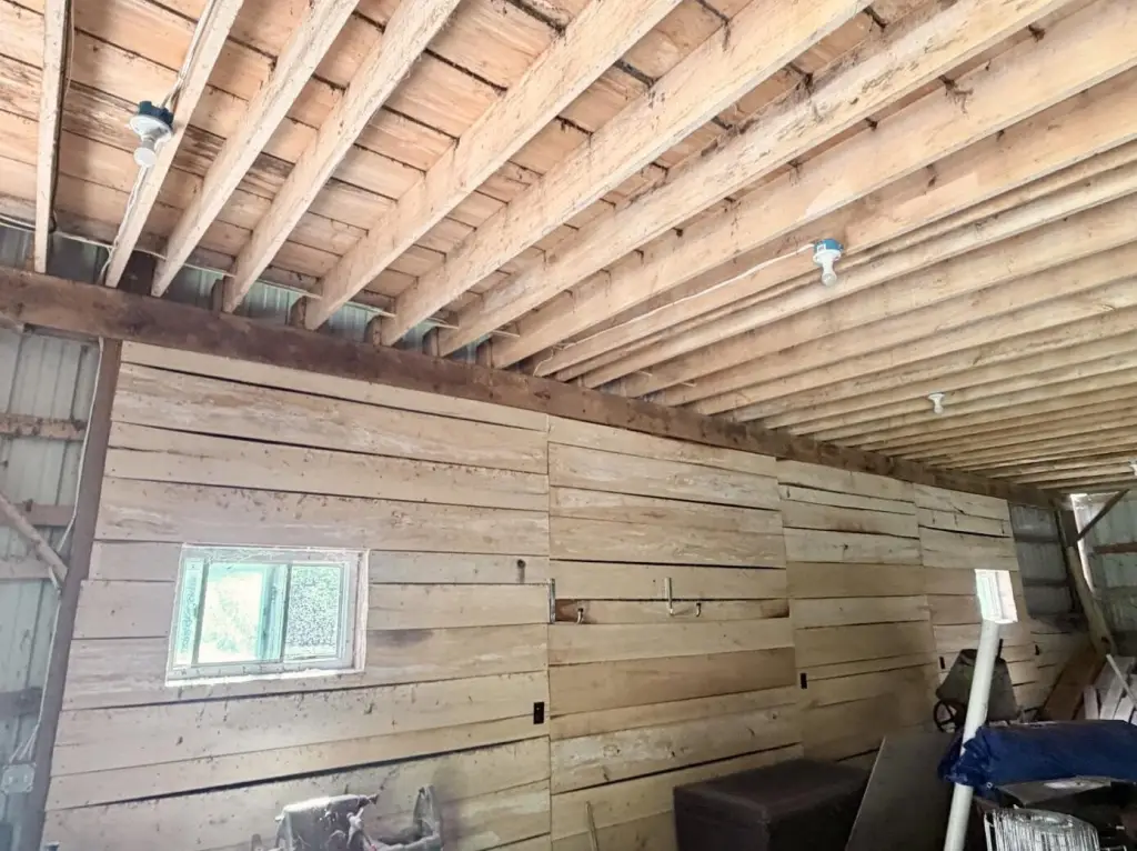Picture 2