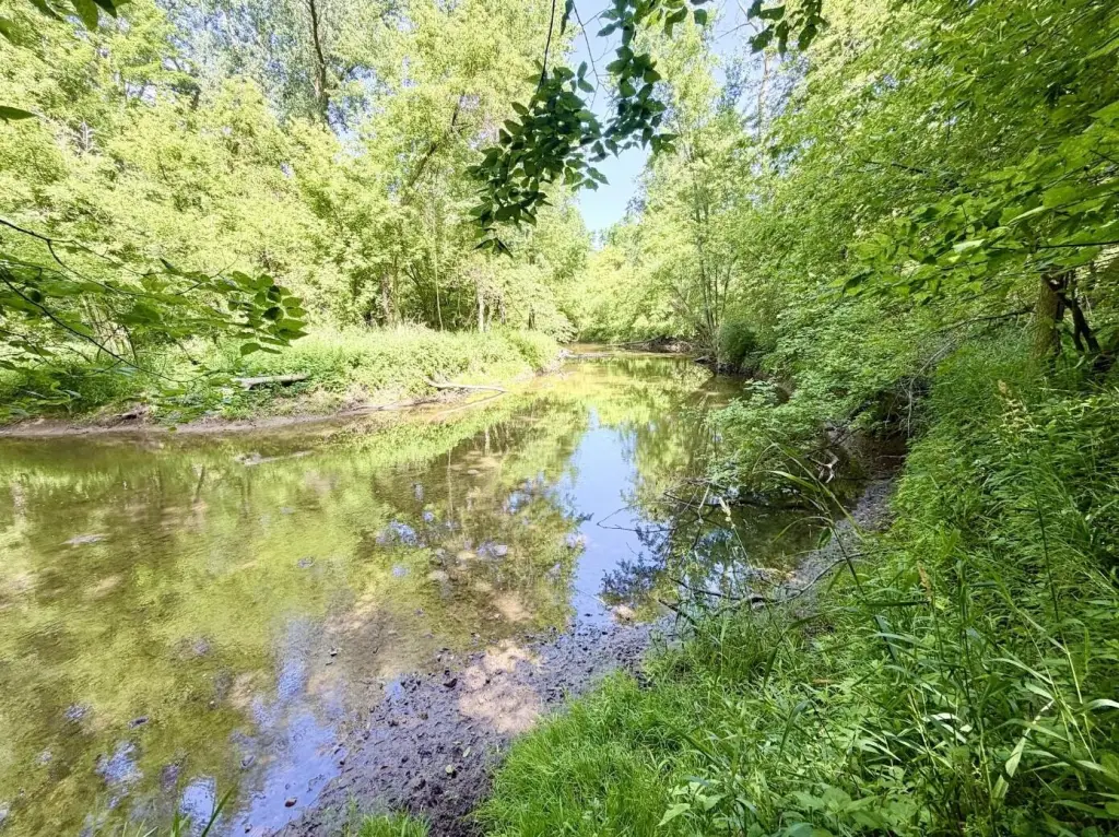 Picture 4