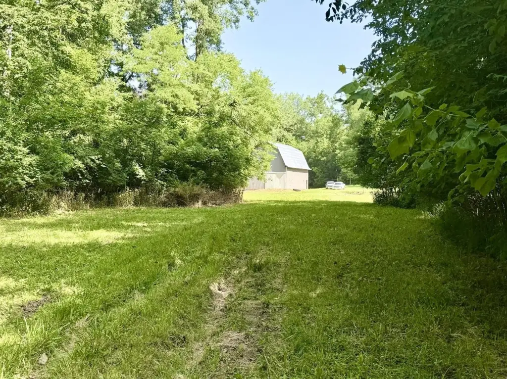 Picture 7