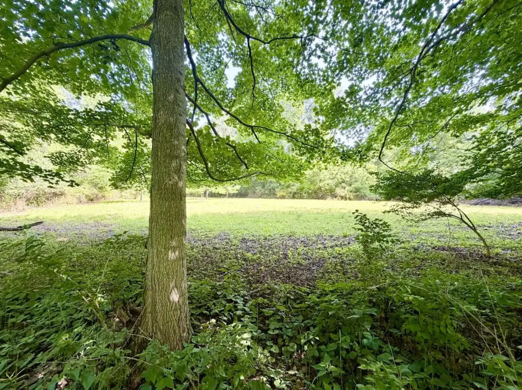 Picture 6